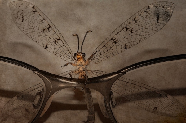 Photograph Michel Bochet Merand Faery on One Eyeland